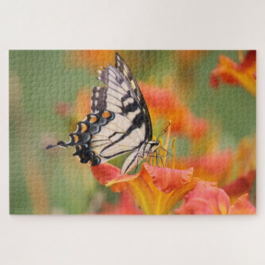 Unvollkommen ist schön: Frack-Schmetterling Puzzle (Horizontal)