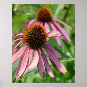 Unvollkommenheit Poster