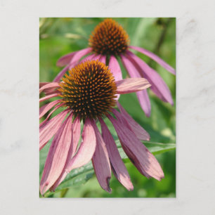 Unvollständigkeit Postkarte