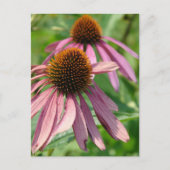 Unvollständigkeit Postkarte (Vorderseite)