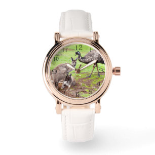 unwahrscheinliche Pals: australisches Kangaroo und Armbanduhr