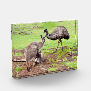 "Unwahrscheinliche Pals: The Kangaroo and Emu Frie Fotoblock