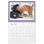 Unwahrscheinliche Tierfreunde 2023 Kalender (Mär 2026)