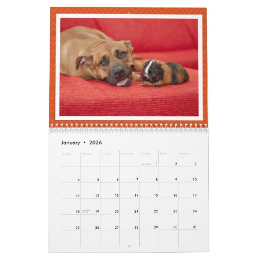 Unwahrscheinliche Tierfreunde 2023 Kalender (Jan 2026)