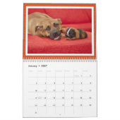 Unwahrscheinliche Tierfreunde 2023 Kalender (Jan 2027)