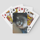 Unwiderstehliche Cat Bicycle Cards Spielkarten (Rückseite)