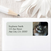 Unwiderstehliche Zorro-Rücksendeadressen-Aufkleber (Insitu)