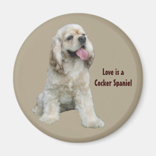 Unwiderstehlicher Magnet Cocker spaniels