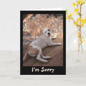 Unwiderstehlicher Porchhund Ich bin Sorry Card Karte (Gelbe Blume)