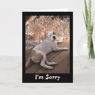 Unwiderstehlicher Porchhund Ich bin Sorry Card Karte