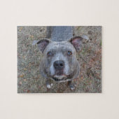 Unwiderstehliches Pitbull Puzzlespiel Puzzle (Horizontal)