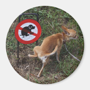 Unwissenheit ist Blickwinkel Magnet