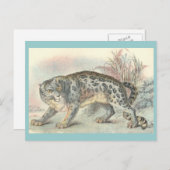 Unze (Schneeleopard) Postkarte (Vorne/Hinten)