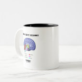Unzureichender Speicher (anatomisches Gehirn) Zweifarbige Tasse (Vorderseite Links)