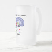 Unzureichender Speicher im Innern (Gehirnanatomie- Mattglas Bierglas (VorderseiteRechts)