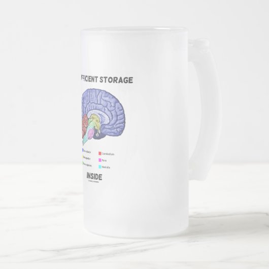 Unzureichender Speicher im Innern (Gehirnanatomie- Mattglas Bierglas (VorderseiteRechts)