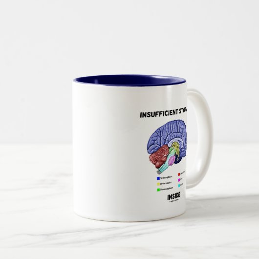 Unzureichender Speicher im Innern (Gehirnanatomie- Zweifarbige Tasse (VorderseiteRechts)