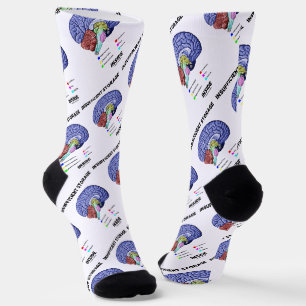 Unzureichender Speicher Innerhalb Gehirn Anatomie Socken
