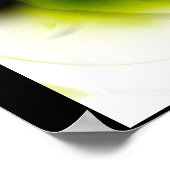 UO #201 POSTER (Ecke)