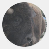 Up Close and Personal Runder Aufkleber (Vorderseite)