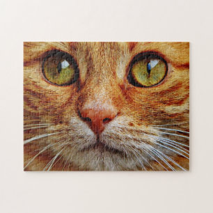 Up Close of Orange Tabby Cat Eyes Puzzle