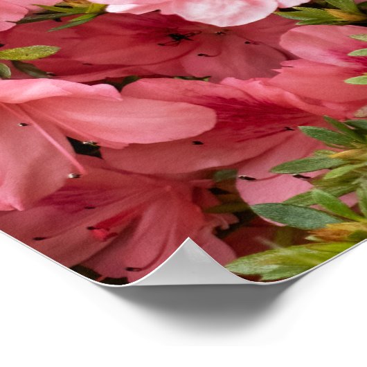 Up Close Poster (Ecke)