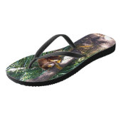 "Up in Trees: An Australian Tree Kangaroo Climbs Badesandalen (Schrägansicht)