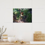 "Up in Trees: An Australian Tree Kangaroo Climbs Poster (Küche)