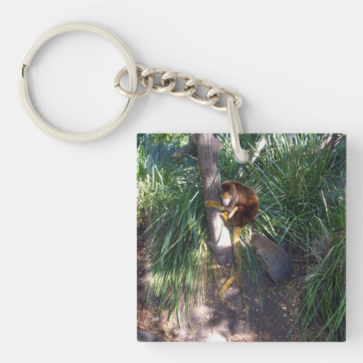 "Up in Trees: An Australian Tree Kangaroo Climbs Schlüsselanhänger (Vorderseite)