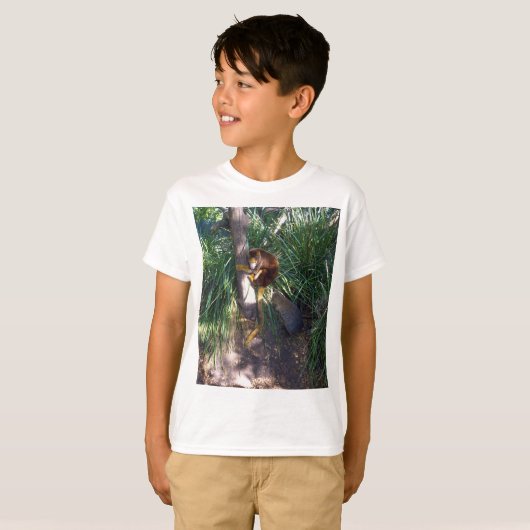 "Up in Trees: An Australian Tree Kangaroo Climbs T-Shirt (Vorne ganz)