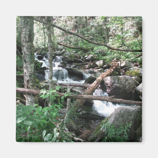 Up-River Magnet (Vorne)