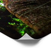 Up Tree Poster (Ecke)