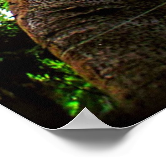 Up Tree Poster (Ecke)