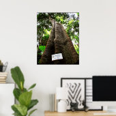 Up Tree Poster (Heimbüro)