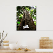 Up Tree Poster (Küche)