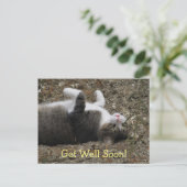 Updown Kitty bekommt gute Postkarte (Stehend Vorderseite)