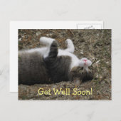 Updown Kitty bekommt gute Postkarte (Vorne/Hinten)