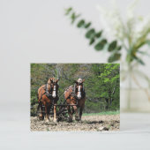 Uphill Postcard Postkarte (Stehend Vorderseite)