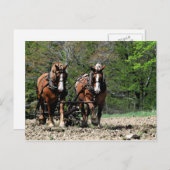 Uphill Postcard Postkarte (Vorne/Hinten)