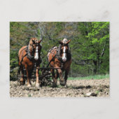 Uphill Postcard Postkarte (Vorderseite)