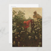 Upland Cotton Postkarte (Vorne/Hinten)