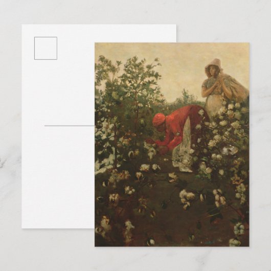 Upland Cotton Postkarte (Vorne/Hinten)