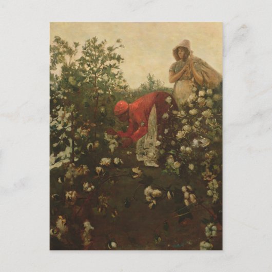 Upland Cotton Postkarte (Vorderseite)