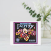 Upland Pansy Vintag Crate Label Postkarte (Stehend Vorderseite)