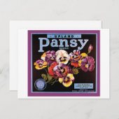 Upland Pansy Vintag Crate Label Postkarte (Vorne/Hinten)