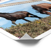 Upload von neun Fotos Poster (Ecke)