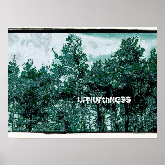 UpNorthNess Poster (Vorne)