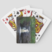 Upper Amnicon Falls Spielkarten (Rückseite)