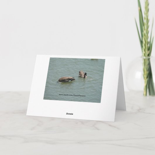 Upper Down Goose, Geburtstag Karte (Rückseite)