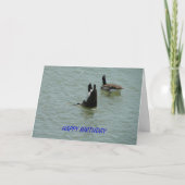 Upper Down Goose, Geburtstag Karte (Vorderseite)